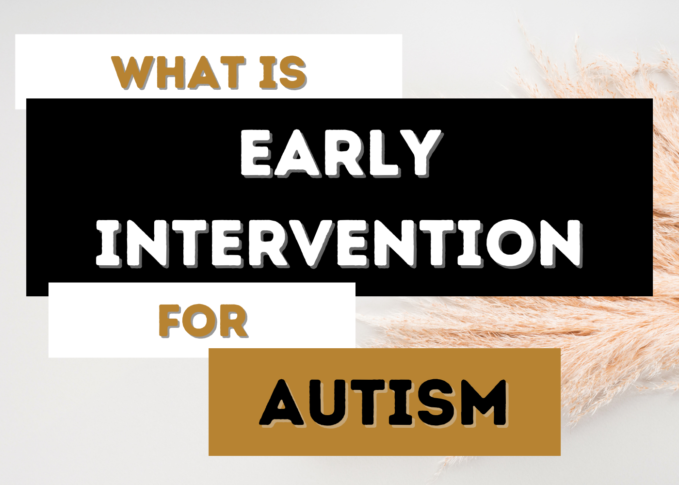 What Is Early Intervention Quizlet